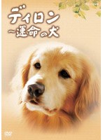ディロン 運命の犬　ドラマ