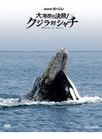 NHKスペシャル 大海原の決闘！ クジラ対シャチ　ドキュメンタリー