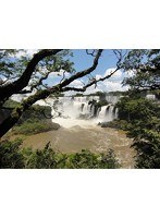 ワイルドライフ 南米 イグアス 世界最大の滝に野生が集う　ドキュメンタリー