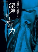 NHKスペシャル 世界初撮影！深海の超巨大イカ　ドキュメンタリー