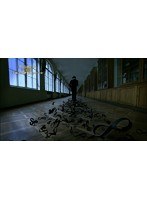 神の数式 完全版 II　ドキュメンタリー
