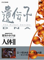 NHKスペシャル 驚異の小宇宙 人体III 遺伝子・DNA 第2集 つきとめよガン発生の謎 ～病気の設計図～　ドキュメンタリー