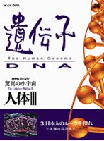 NHKスペシャル 驚異の小宇宙 人体III 遺伝子・DNA 第3集 日本人のルーツを探れ ～人類の設計図～　ドキュメンタリー