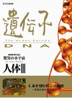 NHKスペシャル 驚異の小宇宙 人体III 遺伝子・DNA 第4集 命を刻む時計の秘密 ～老化と死の設計図～　ドキュメンタリー
