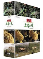 赤道 生命の環 DVD-BOX 2　ドキュメンタリー