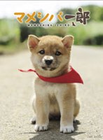メイキング オブ マメシバ一郎　ドラマ