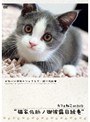 カフェねこonDVD 猫家佐助ノ御披露目絵巻