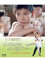 【クリックで詳細表示】小さな村の小さなダンサー (ブルーレイディスク)