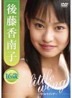 �㓡����q/�㓡����q little wing