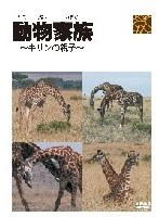 【クリックで詳細表示】動物家族 ～キリンの家族～