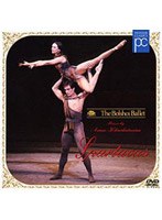 �n�`���g�D���A���F�o���G�u�X�p���^�N�X�v�S�R��[GNBC-4186][DVD]