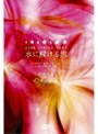  水に解ける雪〜2008.04.30 at SHIBUYA-AX〜/彩冷えるでDMMアフィリエイトツール