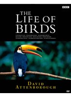 ライフ・オブ・バーズ　鳥の世界　ＤＶＤ−ＢＯＸ