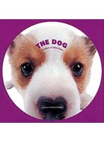 �s�g�d�@�c�n�f�@�E�F���V���E�R�[�M�[[PIBW-1104][DVD]