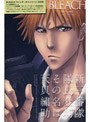  BLEACH 新隊長天貝繍助篇 1 （完全生産限定版）でDMMアフィリエイトツール