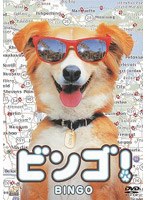 ビンゴ! (期間限定)