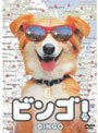 ビンゴ!