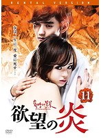 欲望の炎 11