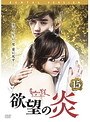 欲望の炎 15