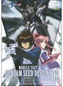 機動戦士ガンダムSEED DESTINY 13