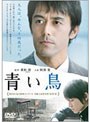  青い鳥でDMMアフィリエイトツール