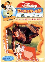 �ǥ����ˡ����˥ޥ���� ����ѥ󥸡�