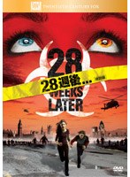 28����... ������
