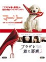  『マーリー 世界一おバカな犬が教えてくれたこと』＆『プラダを着た悪魔』BOX （ブルーレイディスク）でDMMアフィリエイトツール