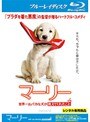 �ޡ��꡼ �����줪�Х��ʸ��������Ƥ��줿���� �ʥ֥롼�쥤�ǥ�������