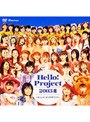  Hello！ Project 2003 夏〜よっしゃ！ビックリサマー！でDMMアフィリエイトツール