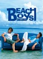 ビーチボーイズ DVD-BOX