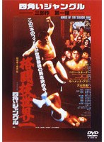 四角いジャングル 格闘技世界一