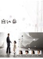  白い春 DVD-BOXでDMMアフィリエイトツール