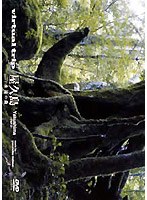 virtual trip 屋久島 part2 永遠の森 （低価格化）