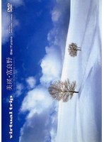 virtual trip ���͡�������-snow fantasy-