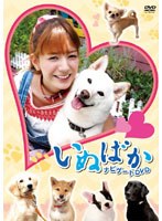 �ǲ�֤��̤Ф��ץʥӥ�����DVD