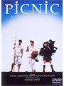  PiCNiCでDMMアフィリエイトツール