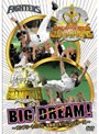  BIG DREAM！〜コンプリート2006北海道日本ハムファイターズ〜でDMMアフィリエイトツール