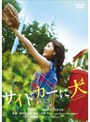  サイドカーに犬でDMMアフィリエイトツール