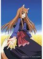  狼と香辛料 1 （通常版）でDMMアフィリエイトツール