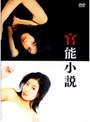 官能小説 DVD-BOX