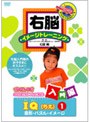  右脳イメージトレーニング 入門編 IQ（ちえ） 1 図形・パズル・イメージでDMMアフィリエイトツール
