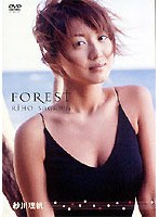FOREST/��������