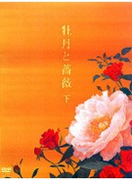 ��ð���� DVD BOX ��