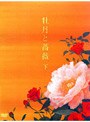  牡丹と薔薇 DVD BOX 下でDMMアフィリエイトツール