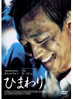 ひまわり