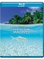  virtual trip MALDIVES （ブルーレイディスク）でDMMアフィリエイトツール