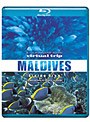 5.1ch SURROUND SOUND virtual trip MALDIVES diving view��DVDƱ���ǡ� �ʥ֥롼�쥤�ǥ������ˤΥ��㥱�åȲ���