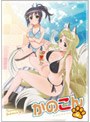  かのこん 第4巻 （通常版）でDMMアフィリエイトツール