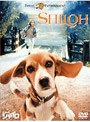 ビーグル犬 シャイロ 特別版 （期間限定）